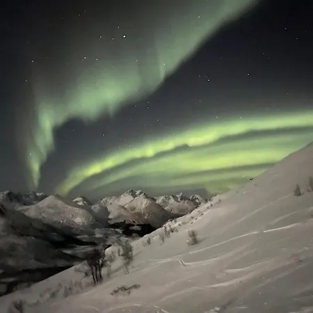Svolvaer, Lofoten, Modern And Northern Lights * Svolvær